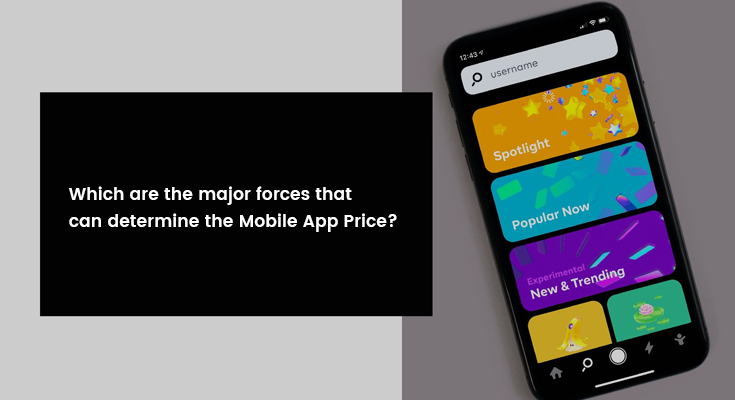 determine the Mobile App Price