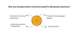 Cardano Smart Contract