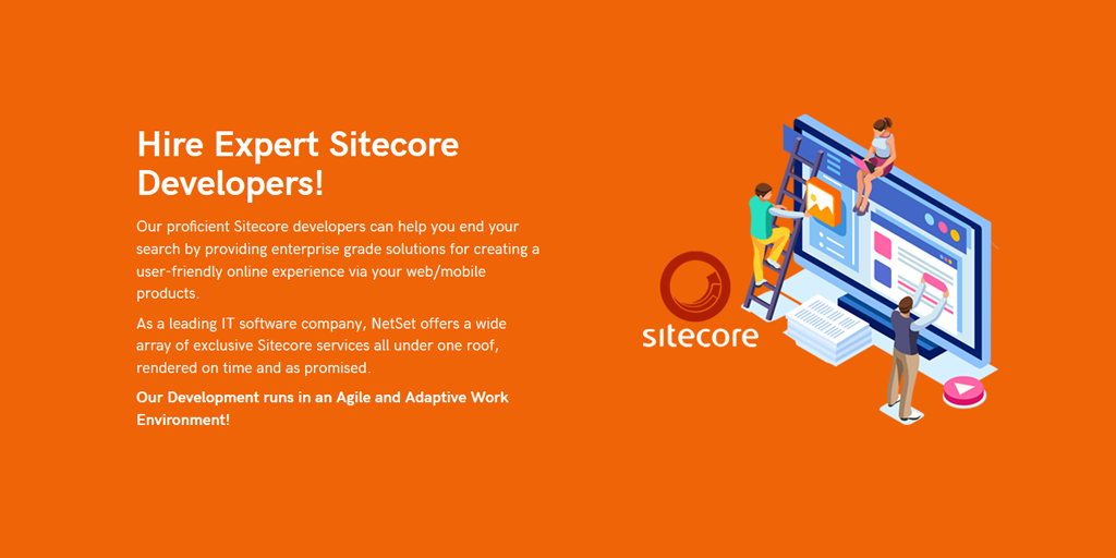 Latest Sitecore-10-NET-Developer Test Materials